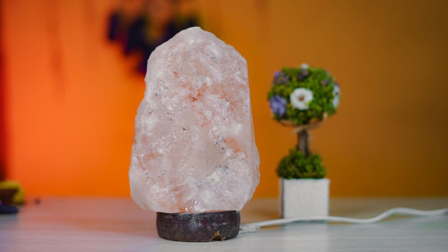 Rock Salt Lamp