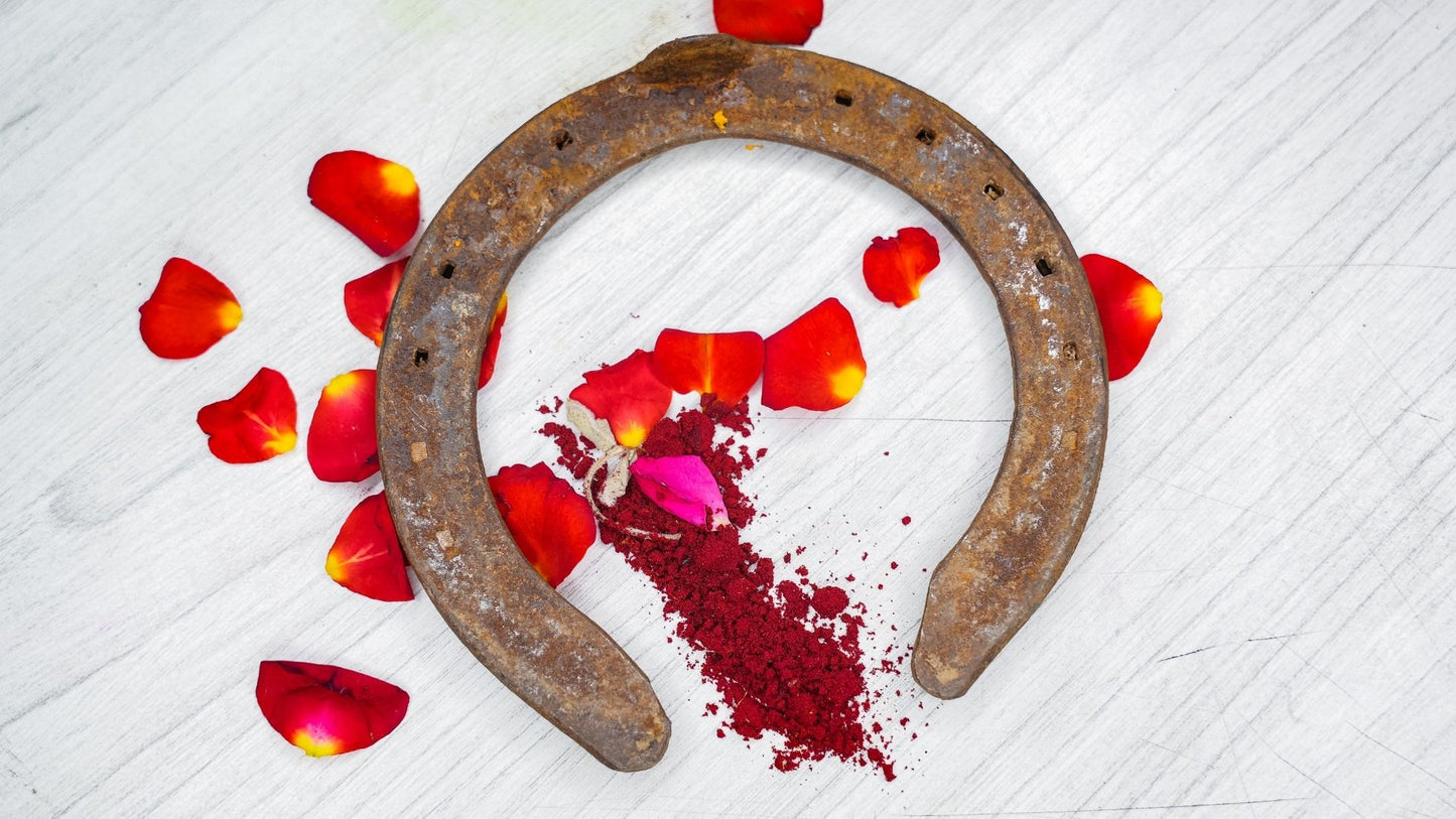 குதிரை லாடம் | Horse Shoe