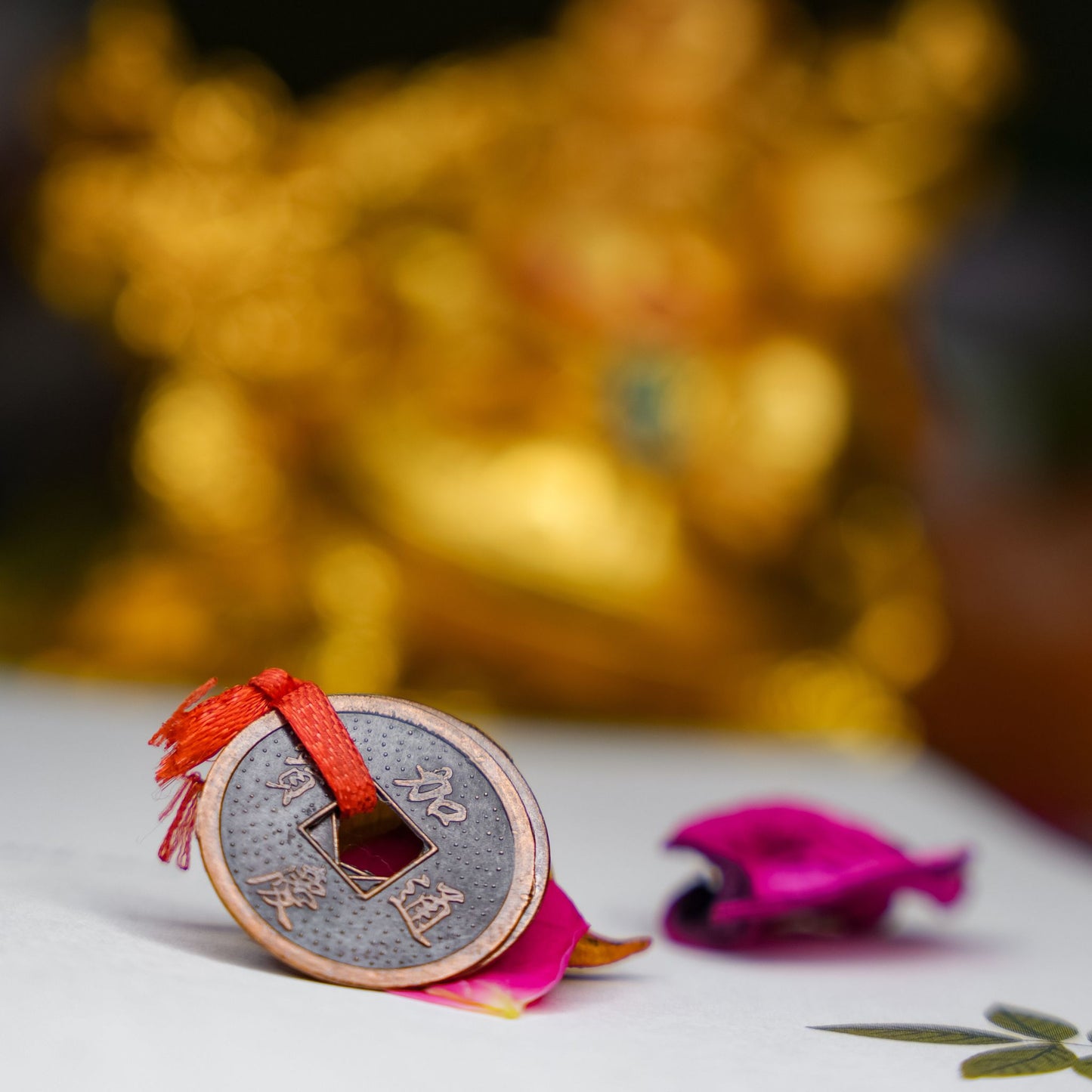 Lucky Coin | லக்கி காயின்
