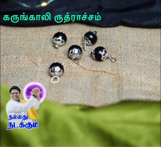 கருங்காலி ருத்ராச்சம்