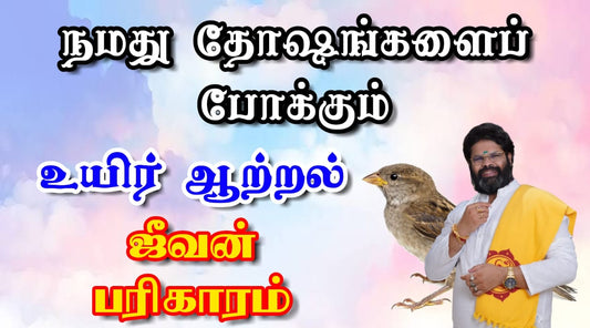 நமது தோஷங்களை போக்கும் உயிர் ஆற்றல் ஜீவன் பரிகாரம்