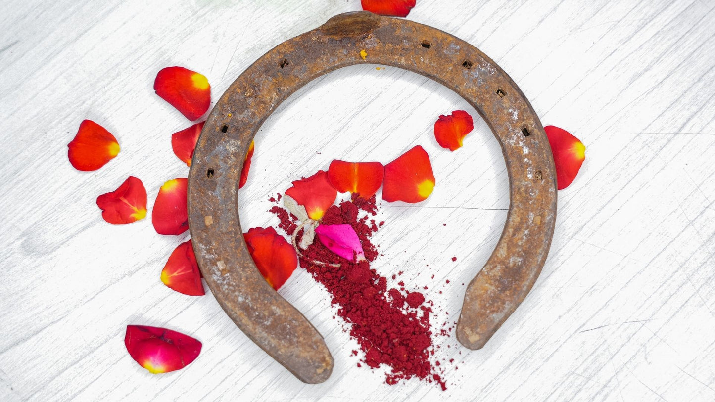 குதிரை லாடம் | Horse Shoe